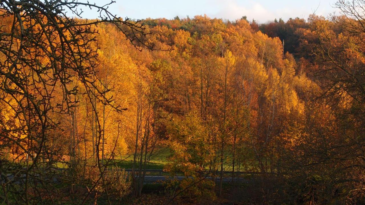 Ferienwohnung Und Pension "Zur Aue" Konigsbruck Exterior foto