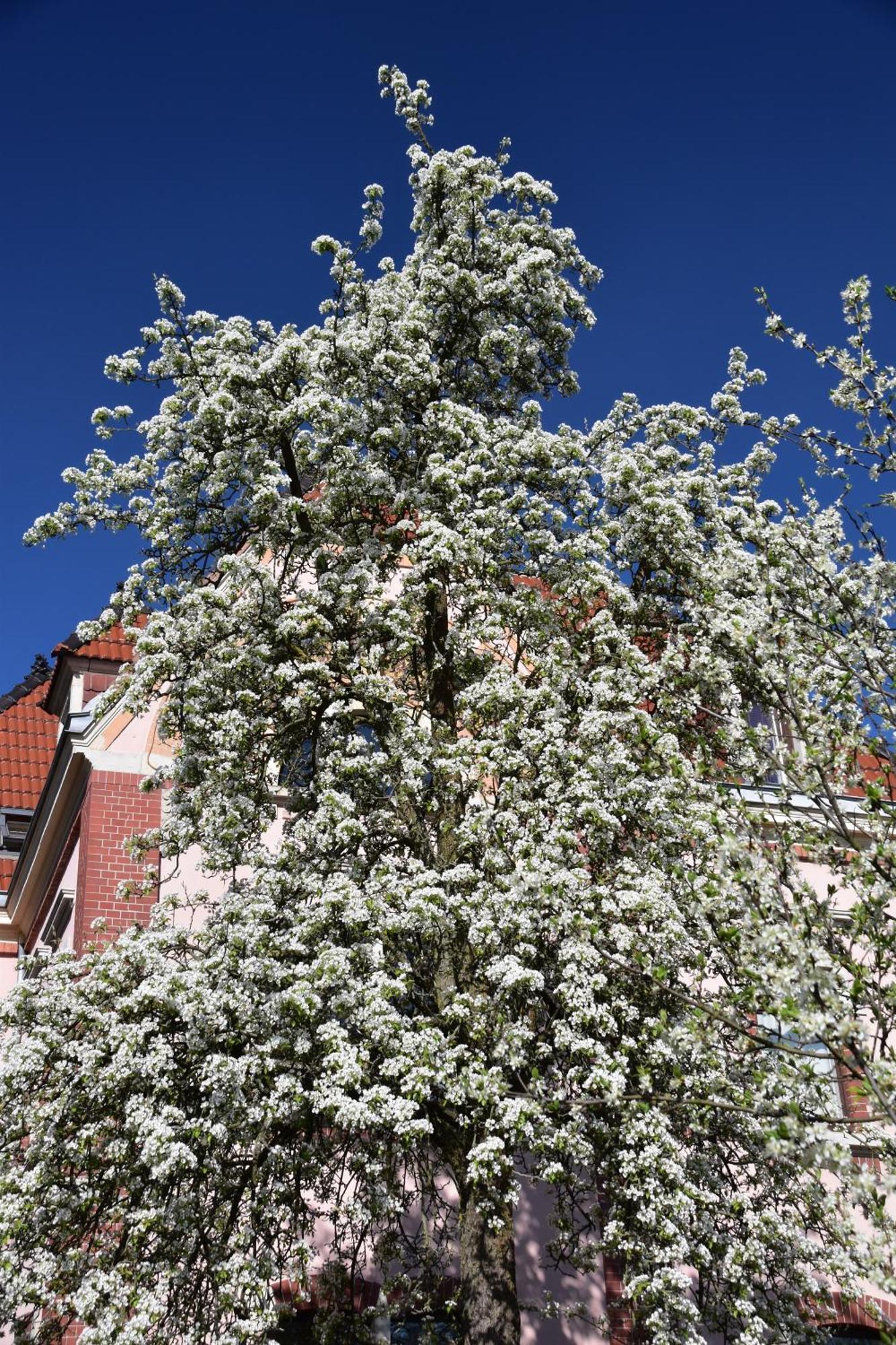 Ferienwohnung Und Pension "Zur Aue" Konigsbruck Exterior foto