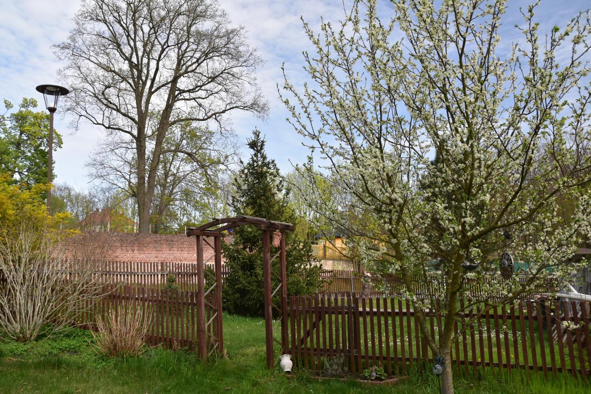 Ferienwohnung Und Pension "Zur Aue" Konigsbruck Exterior foto