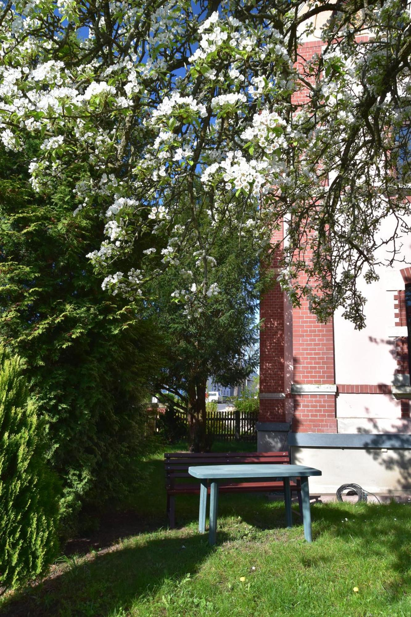 Ferienwohnung Und Pension "Zur Aue" Konigsbruck Exterior foto